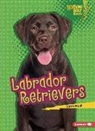 Sarah Frank - Labrador Retrievers