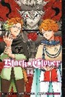 Yuki Tabata, Yuki Tabata - Black Clover, Vol. 14