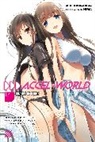Reki Kawahara, Kawahara Reki, Reki Kawahara - Accel World, Vol. 17 (light novel)