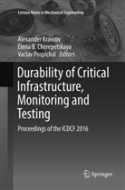 Elen B Cherepetskaya, Elena B Cherepetskaya, Elena B. Cherepetskaya, Alexander Kravcov, Vaclav Pospichal - Durability of Critical Infrastructure, Monitoring and Testing