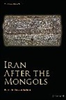 Sussan Babaie, Babaie Sussan, Sussan Babaie, Babaie Sussan - Iran After the Mongols