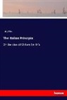 Luigi Ricci - The Italian Principia