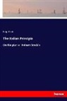 Luigi Ricci - The Italian Principia