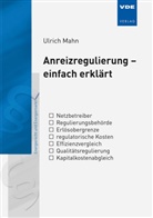 Ulrich Mahn - Anreizregulierung - einfach erklärt