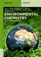 Mark Anthon Benvenuto, Mark Anthony Benvenuto, Kendra R. Evans, Katherine Lanigan, R, Alexa Rihana-Abdallah... - Environmental Chemistry