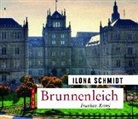 Ilona Schmidt, Sebastian Pappenberger - Brunnenleich, 8 Audio-CDs (Hörbuch)