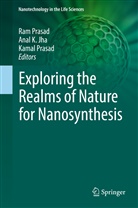 Anal Jha, Anal K. Jha, Ana K Jha, Anal K Jha, Kamal Prasad, Ram Prasad - Exploring the Realms of Nature for Nanosynthesis