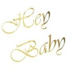 Lulu And Bell, Linzi Loveland - Baby shower guest book (Hardcover)