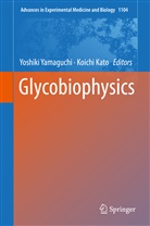 KATO, Kato, Koichi Kato, Yoshik Yamaguchi, Yoshiki Yamaguchi - Glycobiophysics