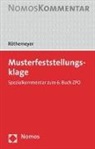 Peter Röthemeyer - Musterfeststellungsklage, Handkommentar