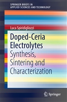 Luca Spiridigliozzi - Doped-Ceria Electrolytes