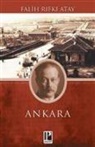 Falih Rifki Atay - Ankara