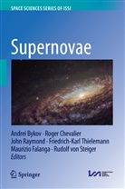 Andrei Bykov, Maurizio Falanga, John Raymond, John Raymond et al, Chevalie Roger, Chevalier Roger... - Supernovae