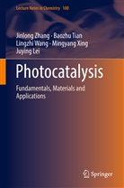 Juying Lei, Baozh Tian, Baozhu Tian, Lingzhi Wang, Lingzhi et al Wang, Mingyang Xing... - Photocatalysis