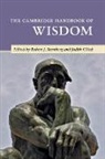 Robert J. (Cornell University Sternberg, Judith Gluck, Judith Glück, Robert J. Sternberg - Cambridge Handbook of Wisdom
