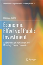 Hirotada Kohno - Economic Effects of Public Investment