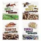 Karen Kenney, Sara L. Latta, Sara Lynn Latta, Rebecca Stefoff - Amazing Animal Colonies