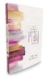 Joanne Simmons - 501 Things to Pray About