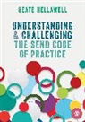 Author, Beate Hellawell, Beate (Canterbury Christ Church Univers Hellawell - Understanding and Challenging the Send Code of Practice