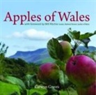 Carwyn Graves - Compact Wales: Apples of Wales