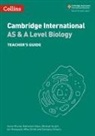 Georgina Chivers, COLLINS, Ian Honeysett, Annie Plumb, Annie Vidos Plumb, Mike Smith... - Collins Cambridge International As & a Level Cambridge International
