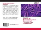 Jairo Jes¿s Rojas Ortiz, Jairo Jesús Rojas Ortiz - Síntesis de Precursores para la Obtención de Fármacos Tipo Carbapenem