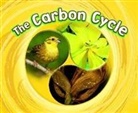 Catherine Ipcizade, IPCIZADE CATHERINE - The Carbon Cycle