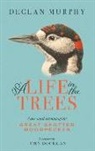Declan Murphy - A Life in the Trees