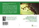 Ulrich Misz - Auswirkungen von Stickoxidemissionen auf PEM-Brennstoffzellen