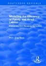 Prem Jung Thapa, Thapa Prem Jung - Modelling the Efficiency of Family and Hired Labour