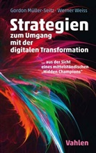 Gordo Müller-Seitz, Gordon Müller-Seitz, Werner Weiss - Strategien zur Umsetzung der digitalen Transformation