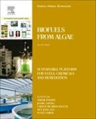 Duu Jong (Professor of Chemical Engineering Lee, Ashok Pandey, Ashok (Distinguished Scientist Pandey, Ashok Lee Pandey, Jo-shu Chang, Jo-Shu (National Cheng Kung University Chang... - Biomass, Biofuels, Biochemicals