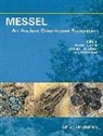 Jörg Habersetzer, Stephan F. K. Schaal, Krister T. Smith - MESSEL - An Ancient Greenhouse Ecosystem