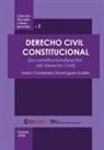 María Candelaria Domínguez Guillén - Derecho Civil Constitucional