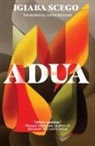 Igiaba Scego, Igiaba Scego - Adua