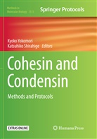 Shirahige, Shirahige, Katsuhiko Shirahige, Kyok Yokomori, Kyoko Yokomori - Cohesin and Condensin