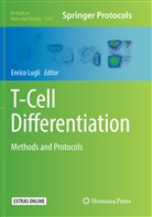 Enric Lugli, Enrico Lugli - T-Cell Differentiation