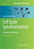 Gaspa Banfalvi, Gaspar Banfalvi - Cell Cycle Synchronization