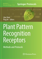 He, He, Ping He, Lib Shan, Libo Shan - Plant Pattern Recognition Receptors