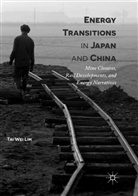 Tai Wei Lim - Energy Transitions in Japan and China