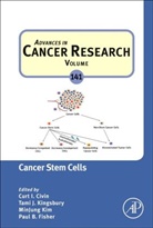 Curt I. (EDT)/ Kingsbury Civin, Curt I. Civin, Paul B. Fisher, Minjung Kim, Tami J. Kingsbury - Cancer Stem Cells