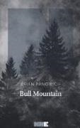 Brian Panowich - Bull Mountain