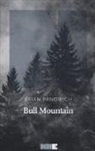 Brian Panowich - Bull Mountain