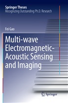 Fei Gao - Multi-wave Electromagnetic-Acoustic Sensing and Imaging