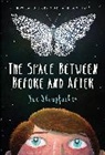 Sue Stauffacher - The Space Between Before and After