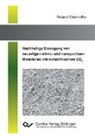 Roland Oberhoffer - Nachhaltige Erzeugung von neuartigen mikro- und nanoporösen Materialien mit nahekritischem CO2