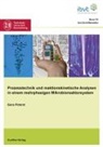Gena Peterat - Prozesstechnik und reaktionskinetische Analysen in einem mehrphasigen Mikrobioreaktorsystem
