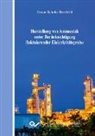 Simon Schulte Beerbühl, Simone Schulte-Beerbühl - Herstellung von Ammoniak unter Berücksichtigung fluktuierender Elektrizitätspreise