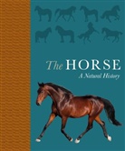 Debbie Busby, Debbie Rutland Busby, Catrin Rutland - Horse