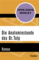 John David Morley - Die Anatomiestunde des Dr. Tulp
